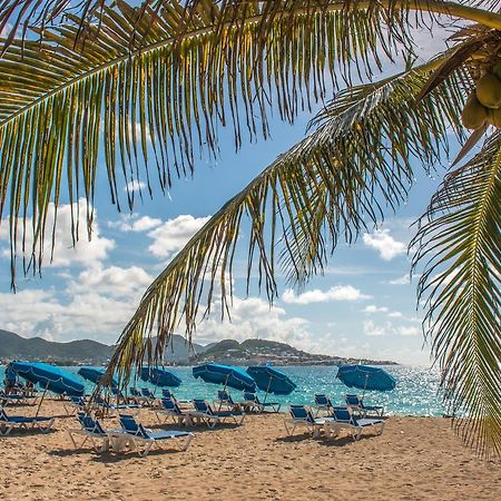 El Zafiro Boutique Hotel Maho Reef Ngoại thất bức ảnh