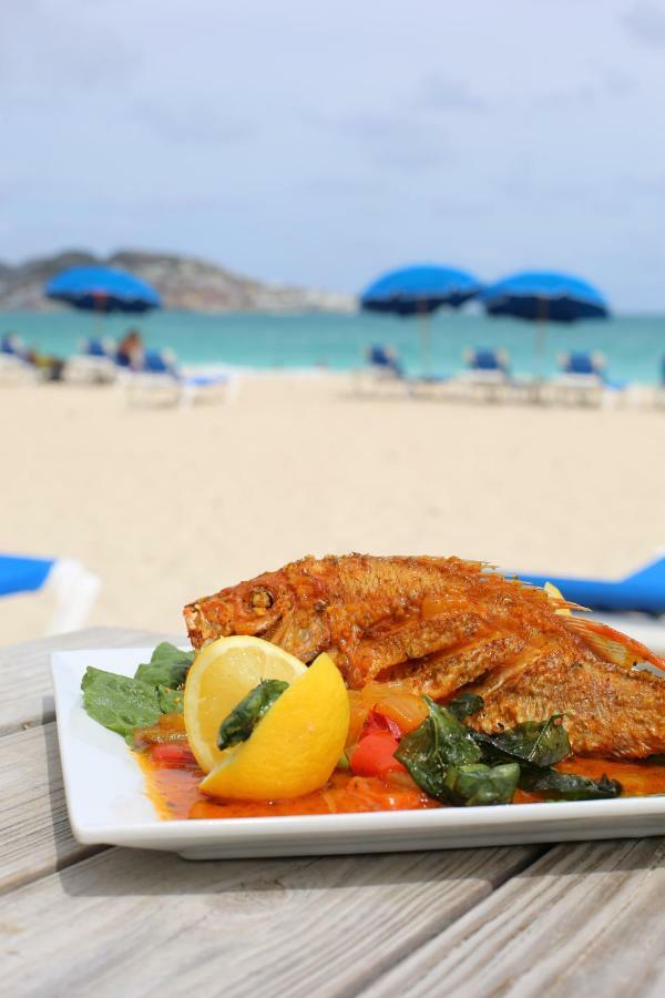 El Zafiro Boutique Hotel Maho Reef Ngoại thất bức ảnh